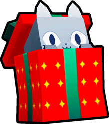 Present Cat Pet