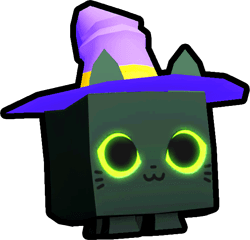 Rainbow Witch Cat Pet