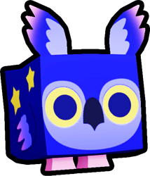 Starry Owl Pet