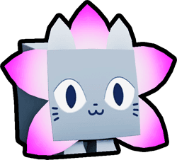 Flower Cat Pet